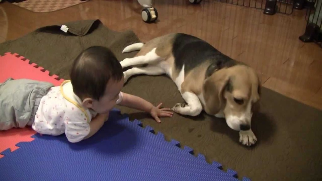 A Baby And A Beagle, The Perfect Combo